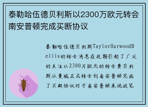 泰勒哈伍德贝利斯以2300万欧元转会南安普顿完成买断协议